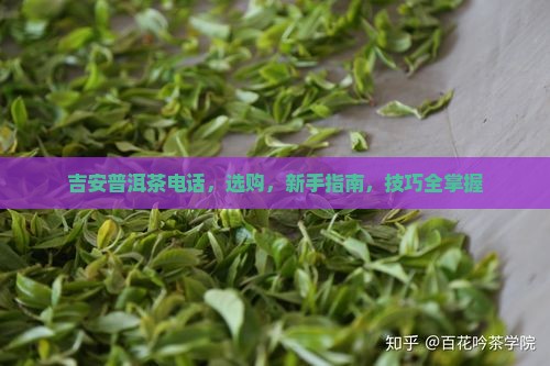 吉安普洱茶电话