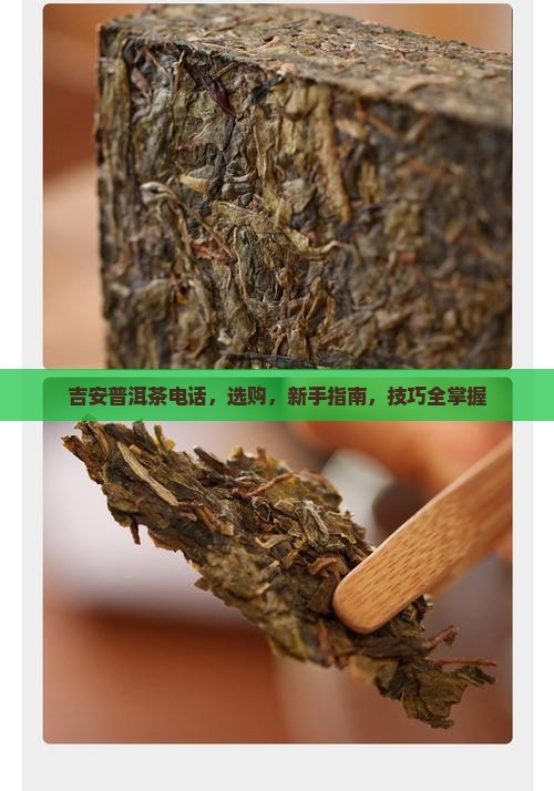 吉安普洱茶电话