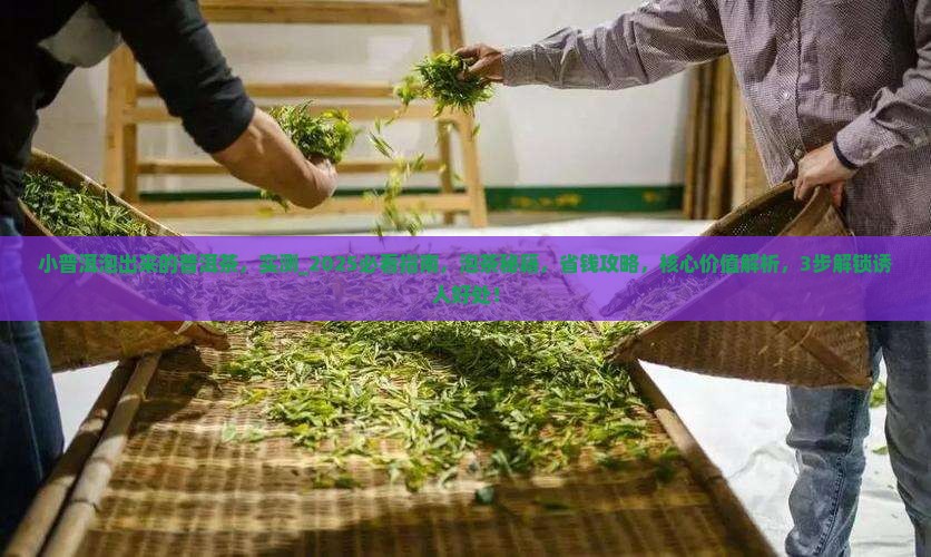 小普洱泡出来的普洱茶
