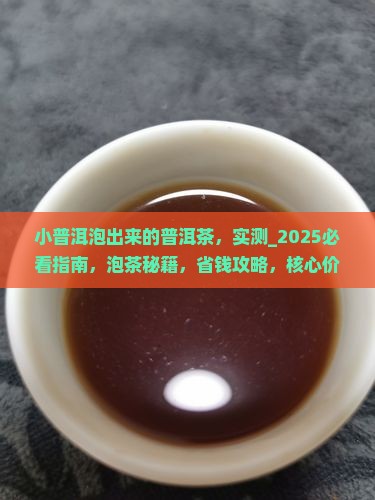 小普洱泡出来的普洱茶