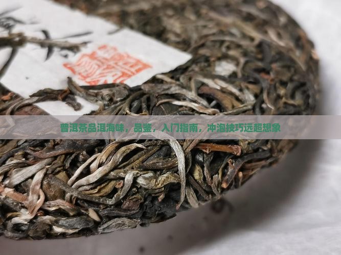 普洱茶品洱海味