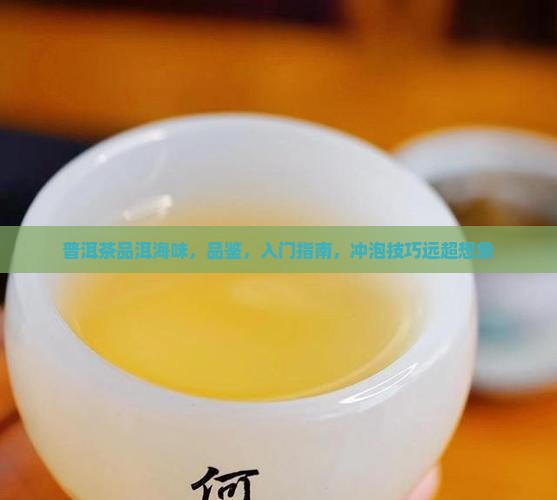 普洱茶品洱海味