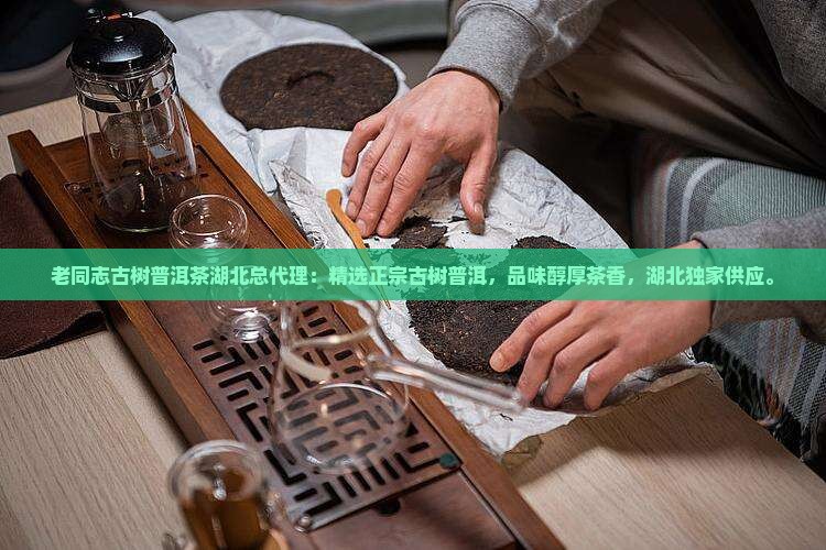 老同志古树普洱茶湖北总代理