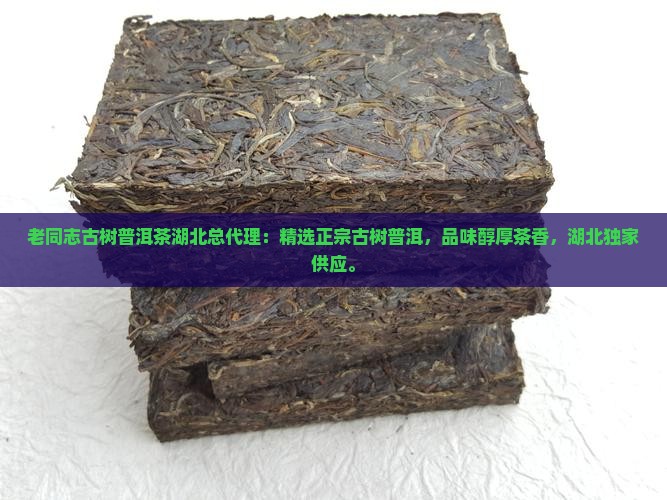 老同志古树普洱茶湖北总代理