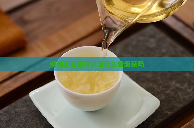 柴烧天目壶可以泡普洱茶吗