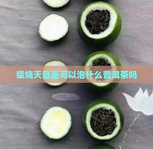 柴烧天目壶可以泡普洱茶吗