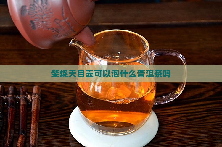 柴烧天目壶可以泡普洱茶吗