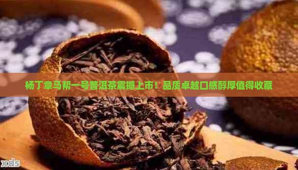 杨丁章马帮一号普洱茶