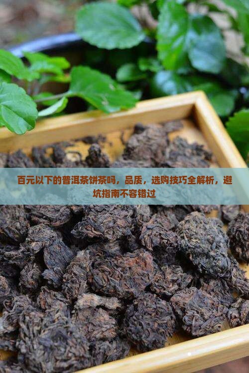 百元以下的普洱茶饼茶吗