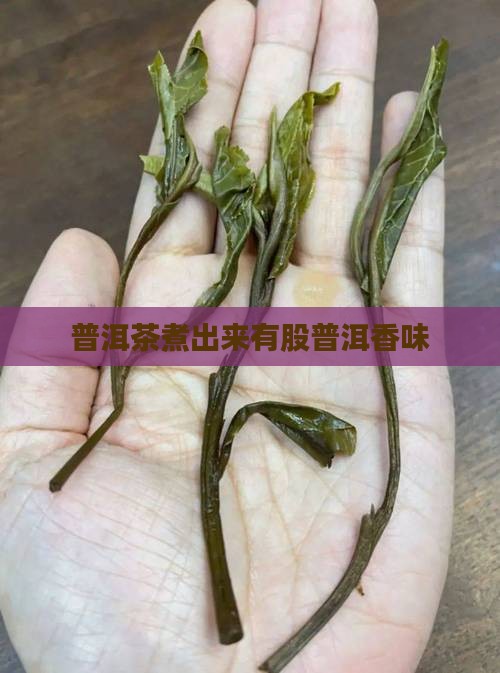 普洱茶煮出来有股香味