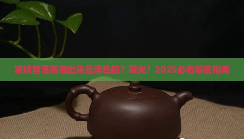紫娟普洱茶泡出来是黑色的