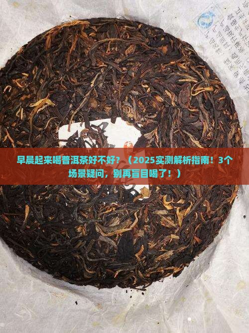 早晨起来喝普洱茶好不好