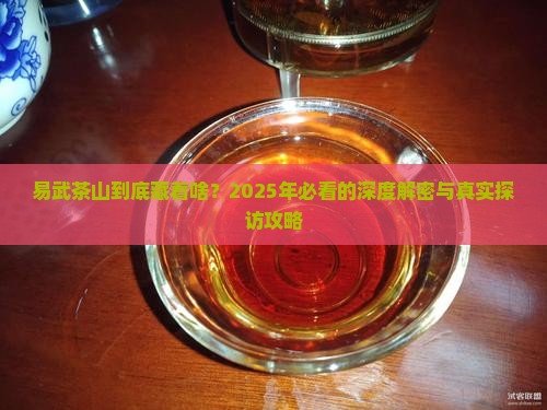 易武茶山有哪些