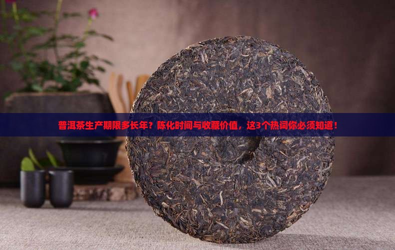 普洱茶生产期限多长年
