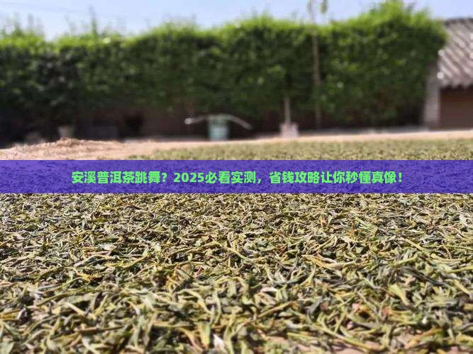 安溪普洱茶跳舞
