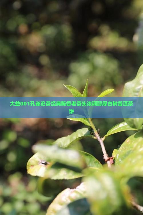 大益001孔雀沱茶