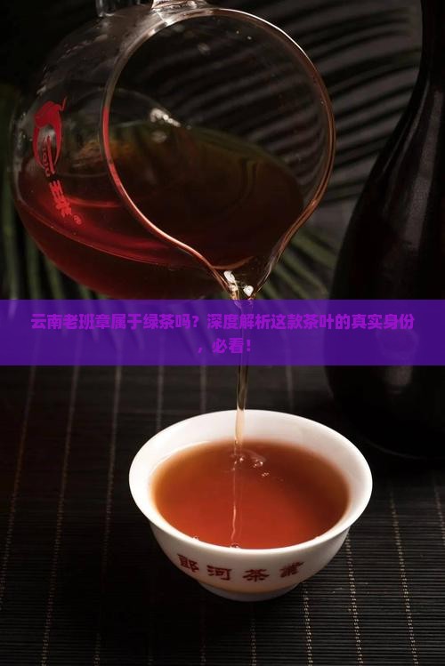 云南老班章属于绿茶吗