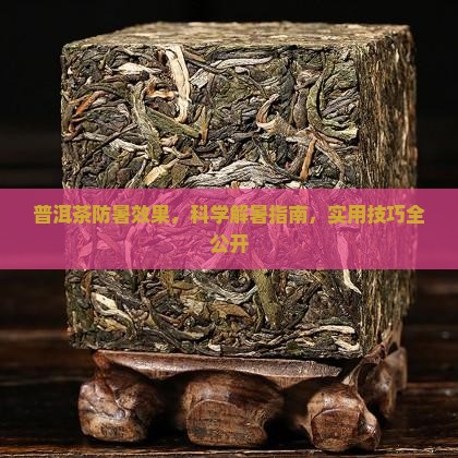 普洱茶防暑效果