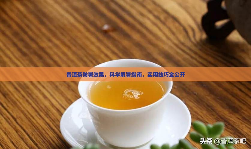 普洱茶防暑效果