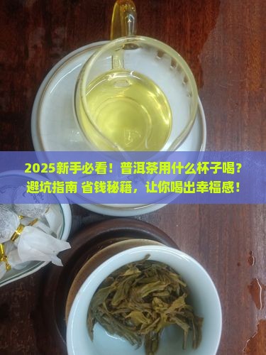 普洱茶用什么器具喝好吗