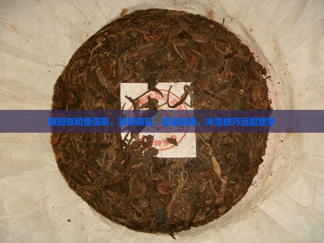 银班章和普洱茶