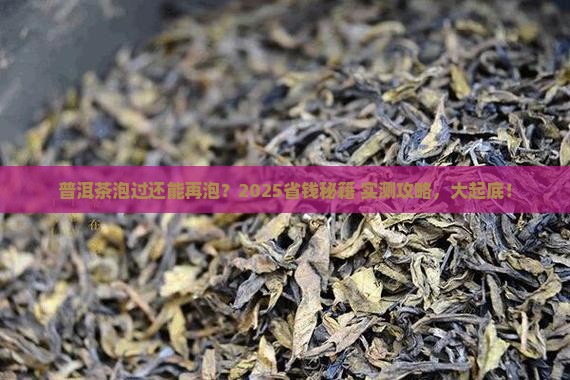 普洱茶泡过可以在用