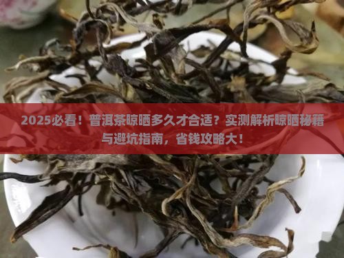 普洱茶晾晒多久