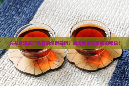 兴益普洱茶产品