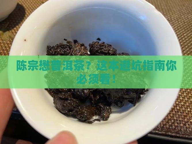陈宗懋关于普洱茶的研究