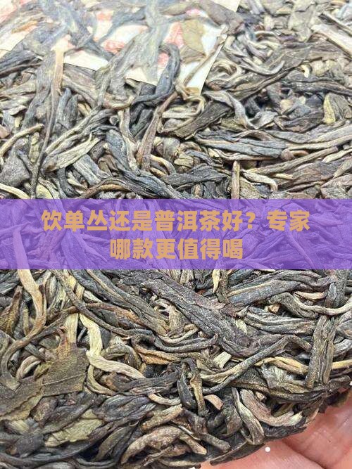 饮单丛还是普洱茶好