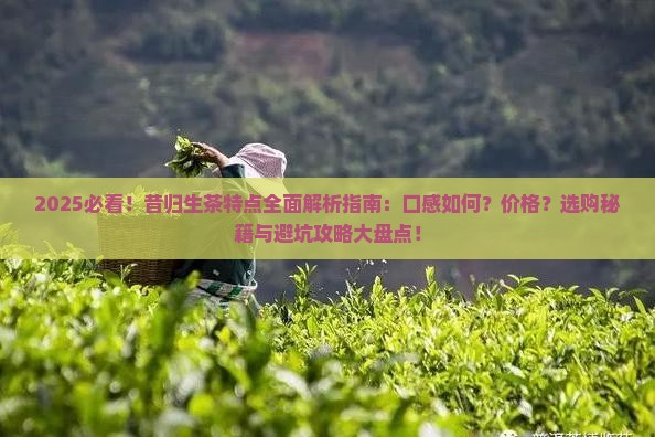 昔归生茶有什么特点