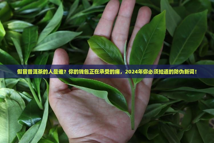 假冒普洱茶的人