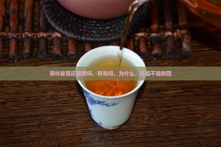 茶叶发霉还能用吗