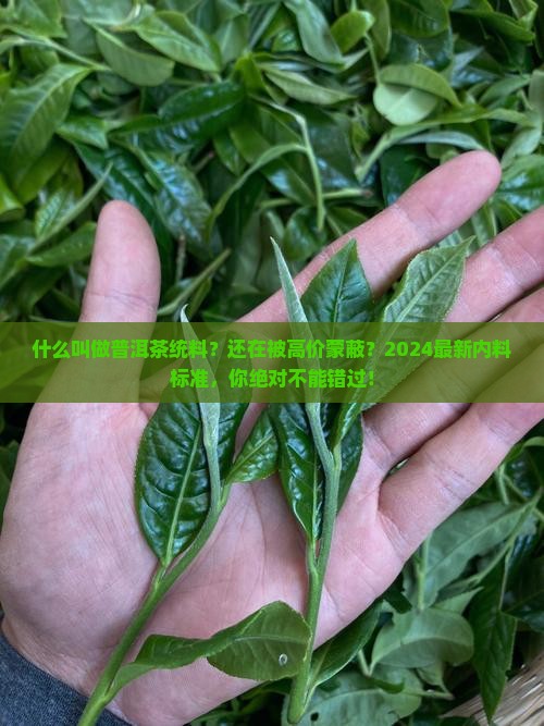 什么叫做普洱茶统料