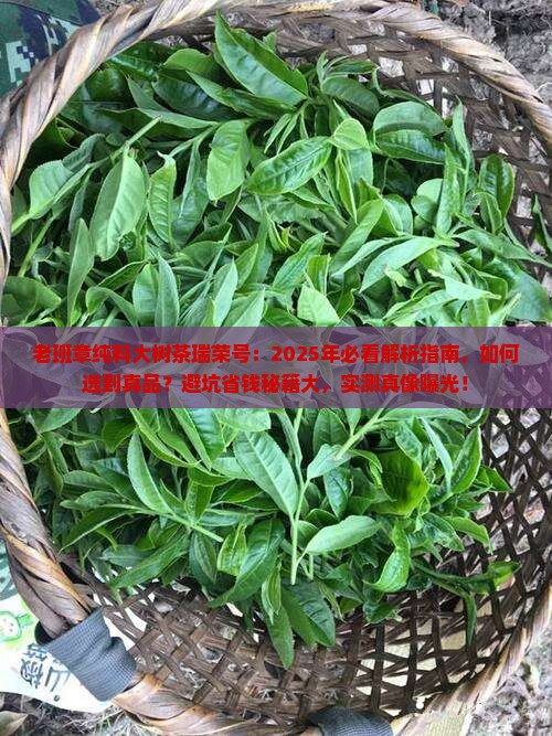 老班章纯料大树茶瑞荣号