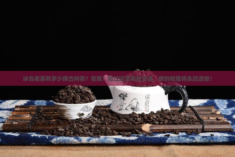 冰岛老寨有多少了棵古树茶