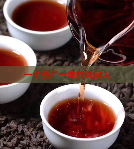 一个茶厂一年购买入