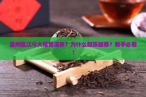 温州瓯江今大福普洱茶