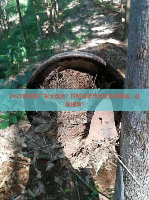 普洱茶品牌厂家排行榜及价格