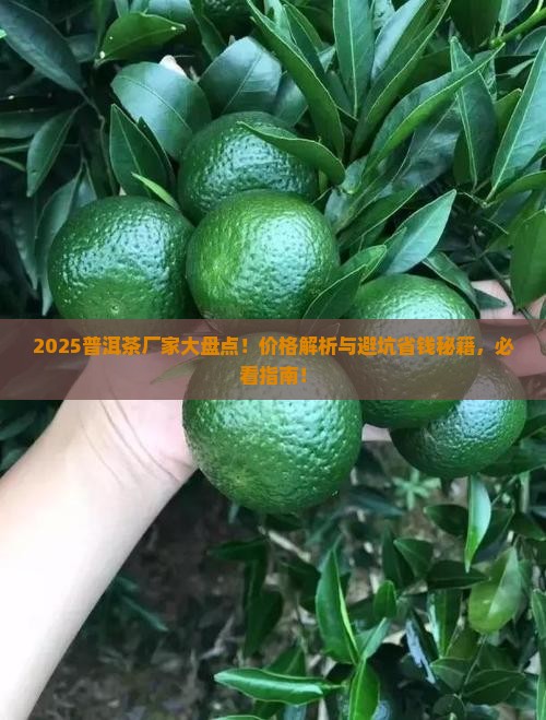 普洱茶品牌厂家排行榜及价格