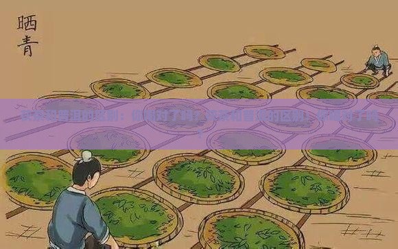 茯茶和普洱的区别