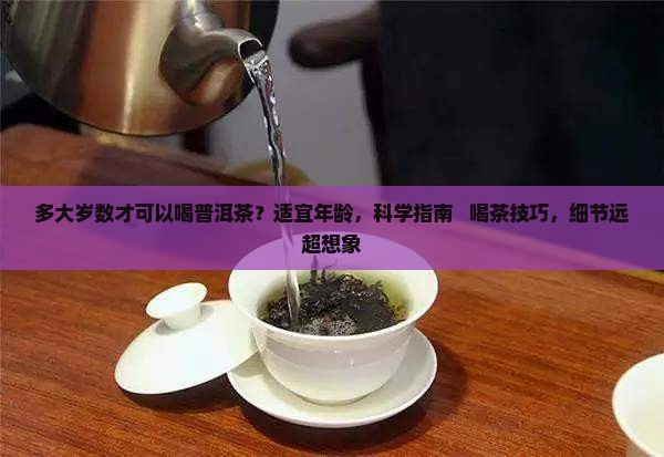 多大岁数才可以喝普洱茶