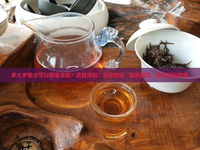 多大岁数才可以喝普洱茶