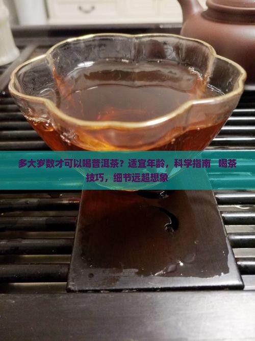 多大岁数才可以喝普洱茶