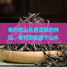 老班章山头普洱茶的特征