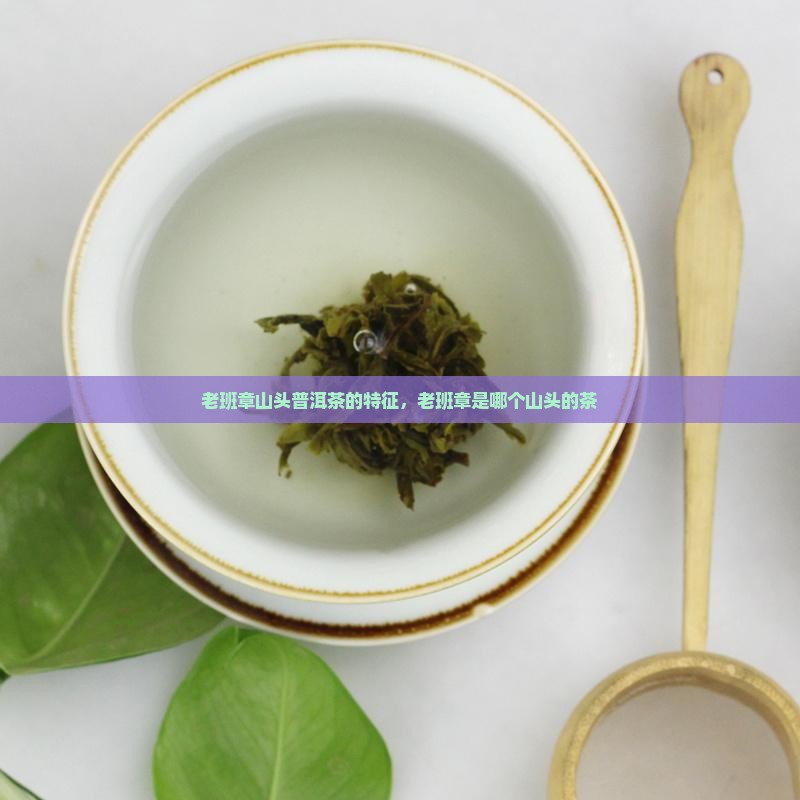 老班章山头普洱茶的特征