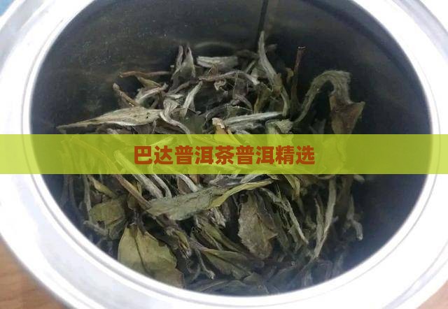中茶巴达山普洱茶