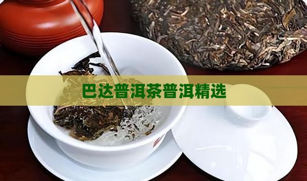 中茶巴达山普洱茶