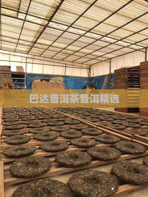 中茶巴达山普洱茶