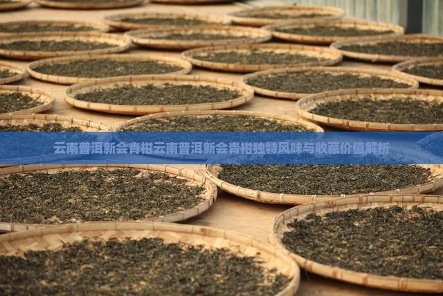 云南普洱新会青柑